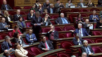 QAG -Cédric Perrin : Pourquoi mettre les parlementaires à distance ?