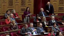 QAG - Anne Chain-Larché : Avenir des salariés de l'entreprise Arjowiggins