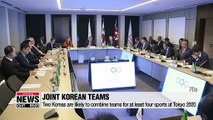 Meeting in Switzerland to decide joint Korean teams for 2020 Tokyo Olympics