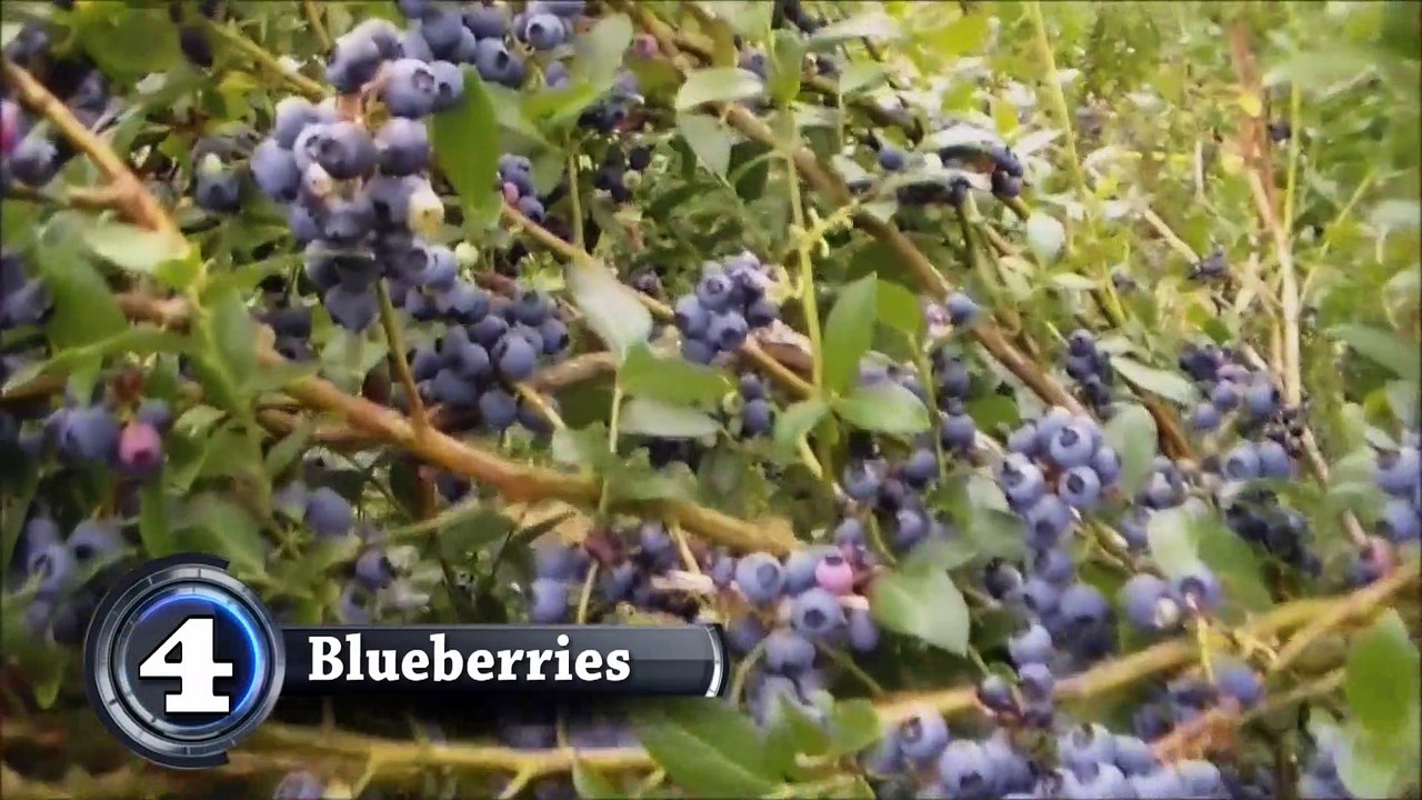 Top 5 Fruits