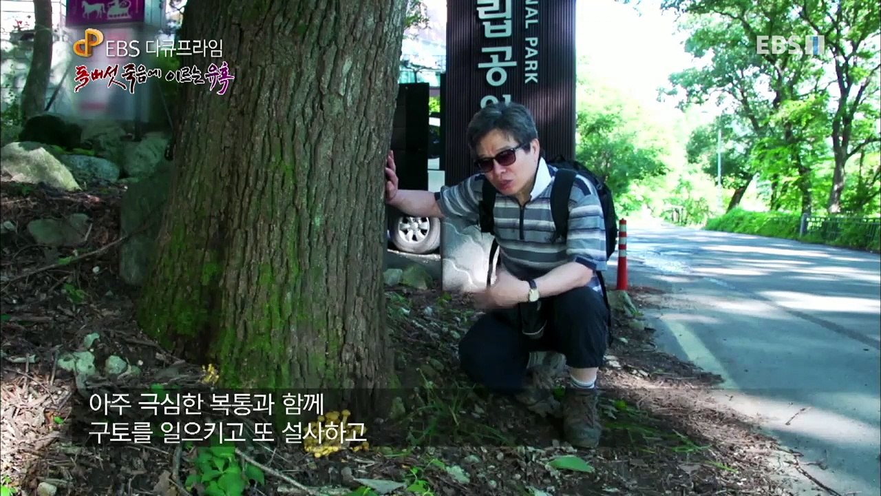 EBS 다큐프라임 - Docuprime_독버섯(죽음에 이르는 유혹)_#001