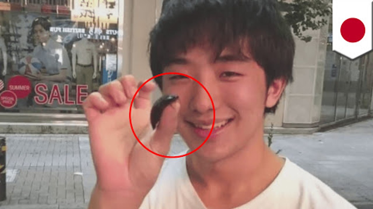 일본인 남성, 바퀴벌레와 사귄다?