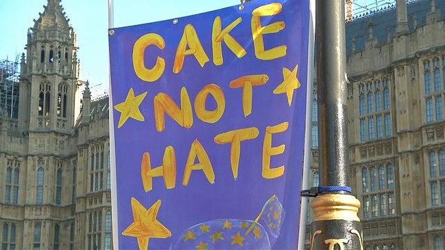 Великобритания: акции протеста в Лондоне