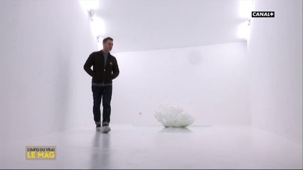 L’expo qui se mange avec les yeux ! - L'info du vrai du 14/02 - CANAL+