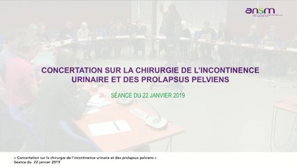 Réunion de concertation sur le traitement des prolapsus pelviens et de l’incontinence urinaire (Partie 2)