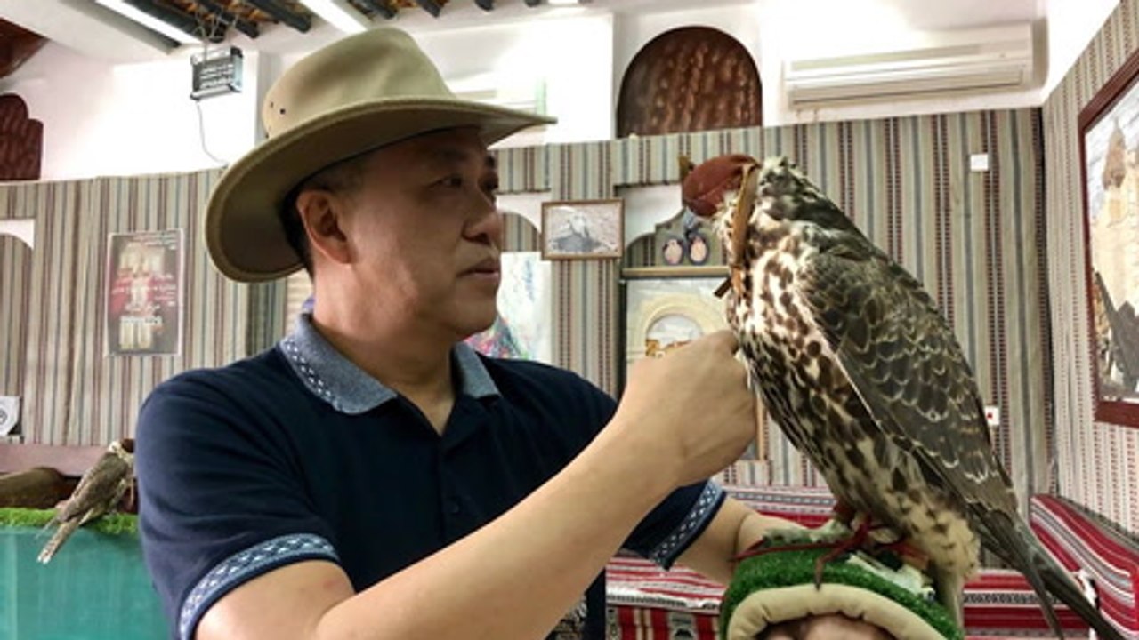 OFF THE BEAT: On the falcon's crest