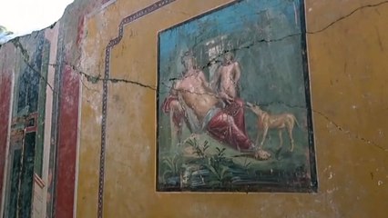 폼페이에서 2천 년 전 나르시시스 벽화 발굴 / YTN