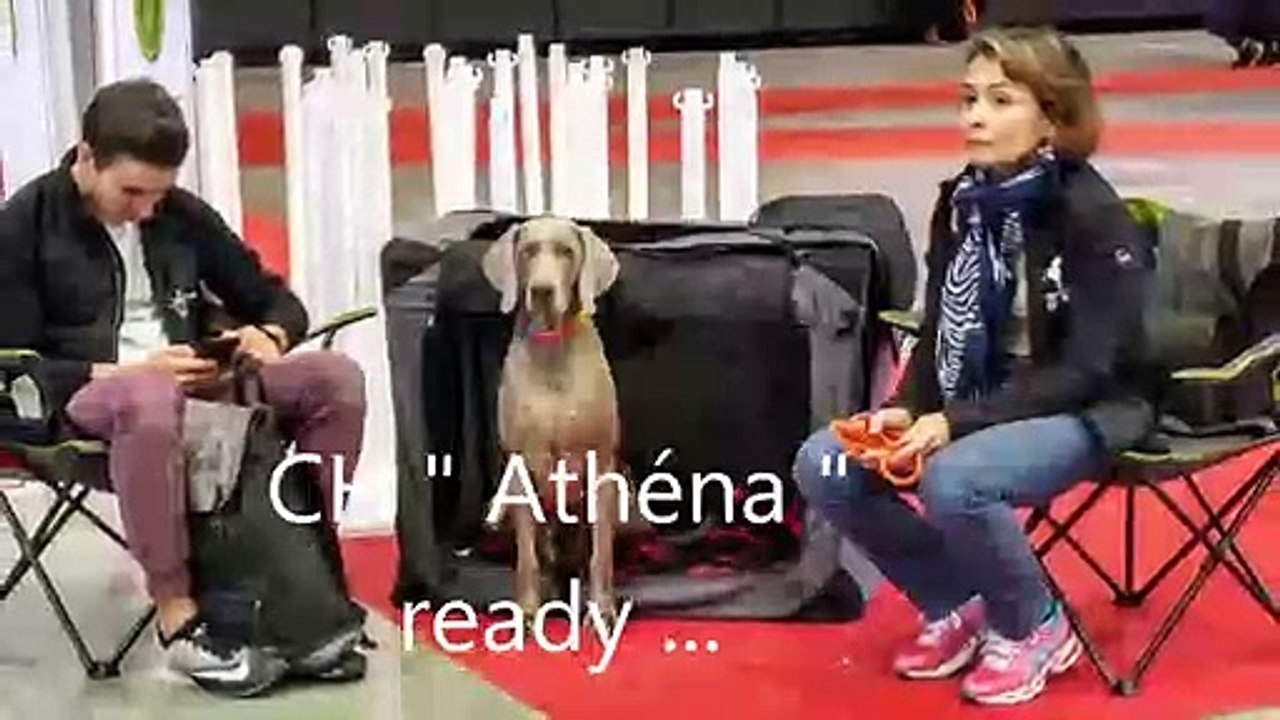 IDS Troyes 2019 Athéna