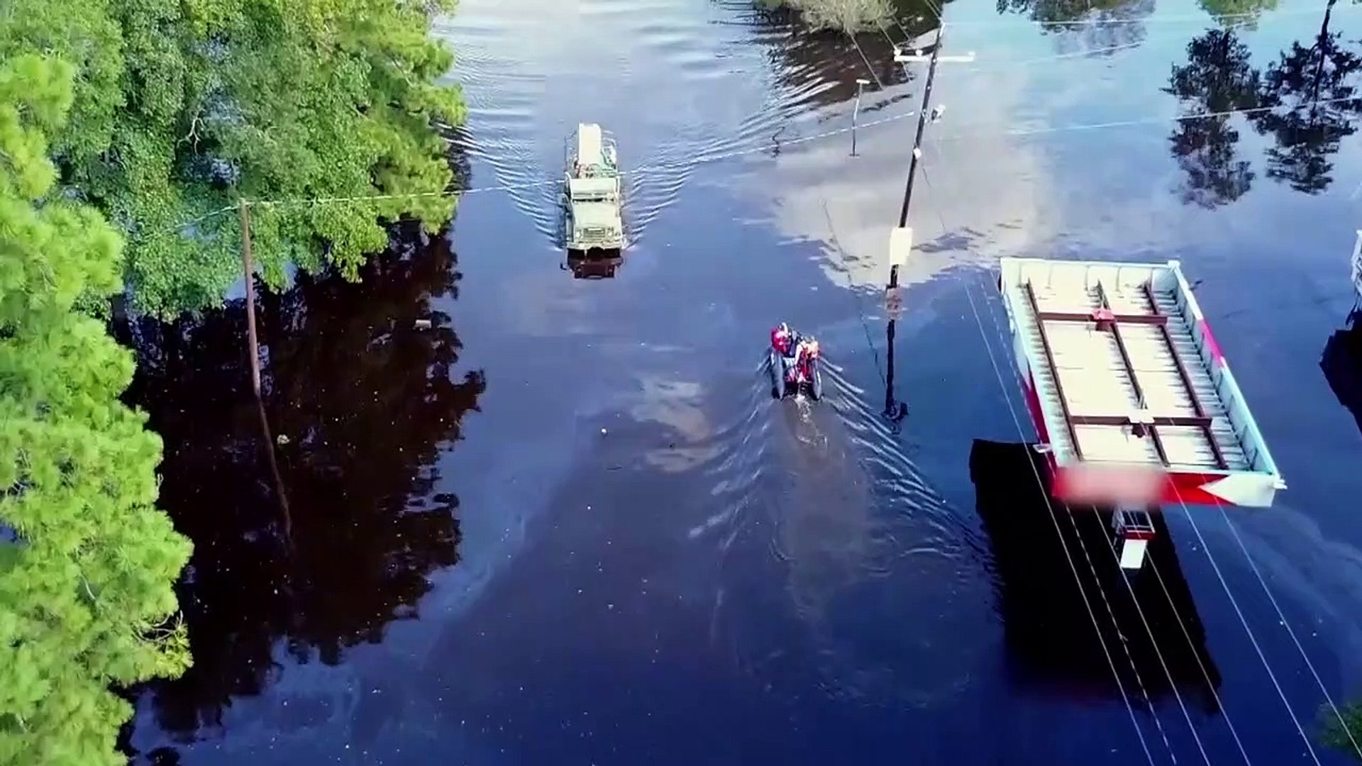 ⁣Volunteers Rescue Abandoned Animals After Hurricane Harvey