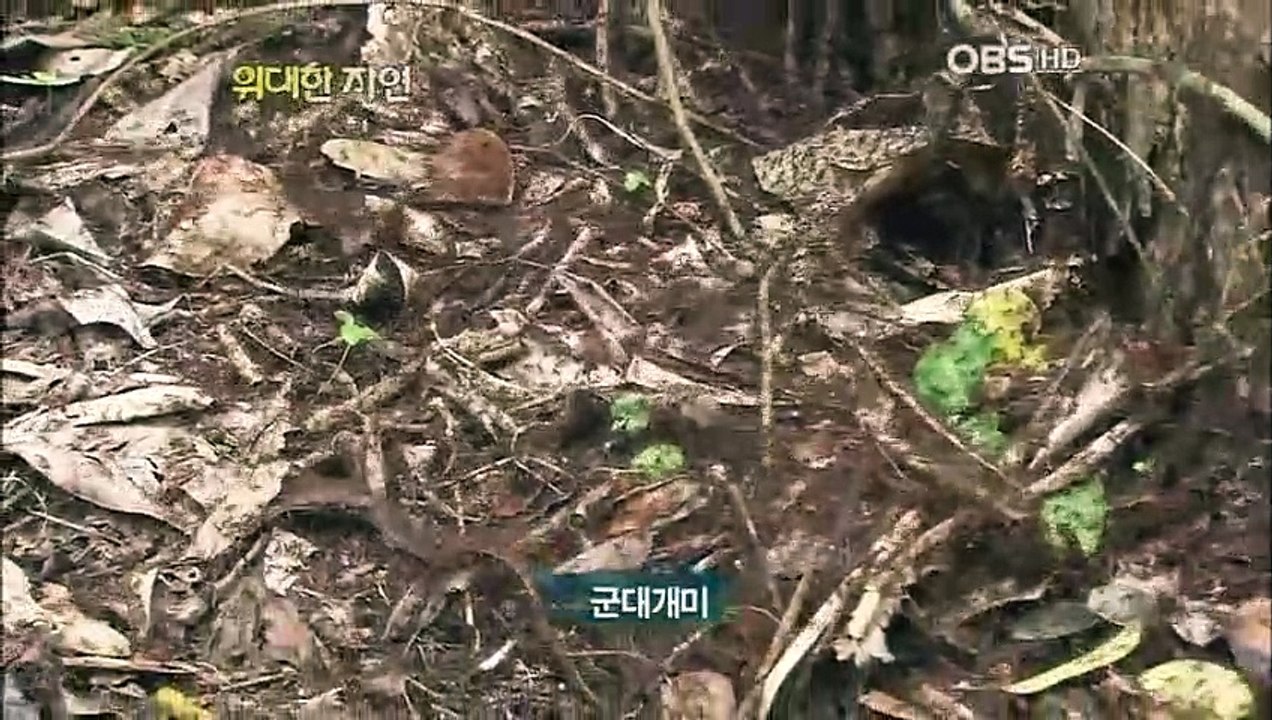 밀양출장안마 -100%미인Ø7Øs4110s6674【YOY87카톡】밀양전지역출장마사지샵밀양출장go안마ok밀양출장마사지황형ゲゴサ콜걸샵출장전문