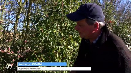 Le journal - 15/02/2019 - Des températures dignes d'un mois de mai