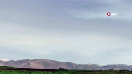 Mardin’de mühimmat ve yaşam malzemesi ele geçirildi