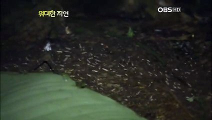 김해출장안마 -100%미인Ø7Øs4110s6674【YOY87카톡】김해전지역출장마사지샵김해출장go안마ok김해출장마사지황형≠±×미인아가씨만남1위