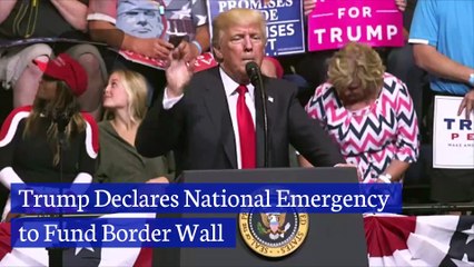 Trump Declares National Emergency to Fund Border Wall