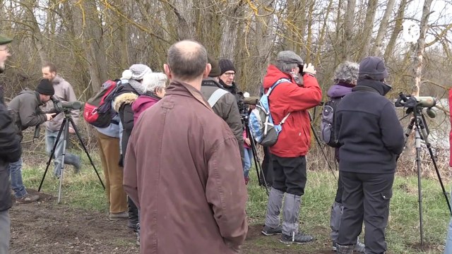 RHONE ALPES Actu - 15 FEVRIER 2019