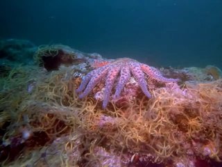 구미출장안마 -여대생！Ø7Øa7575aØØ69【CN4989카톡】구미전지역출장마사지구미출장ko안마sd구미출장마사지'오피걸∠⊥≤미인아가씨조건만남