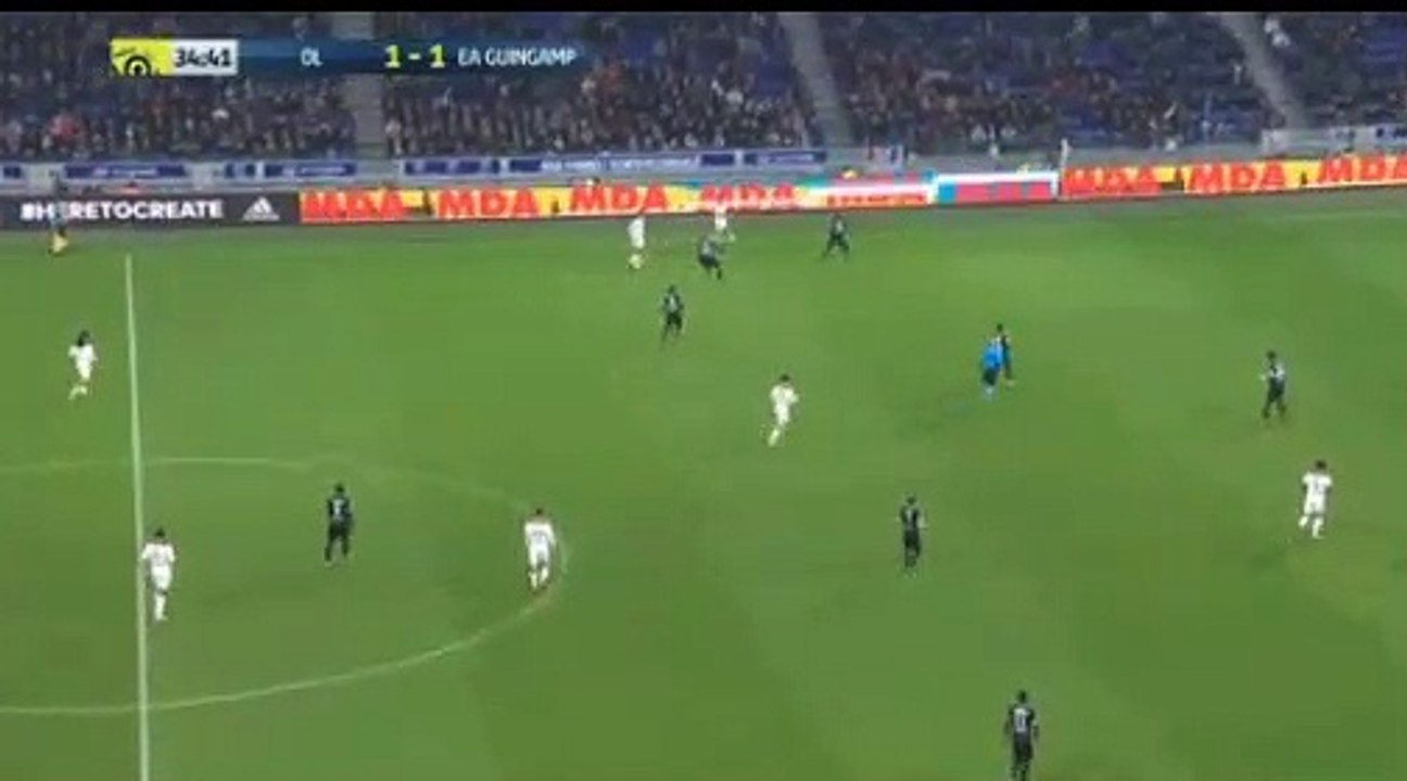 Nabil Fekir super goal Lyon vs Guingamp 2-1