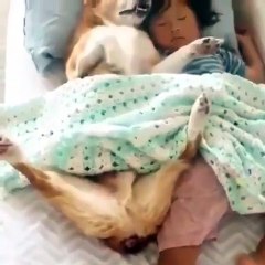 Mdr !! Qu'ils sont mignons tous les deux !!!