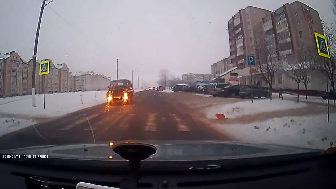 Un chat bien élevé traverse au passage piéton