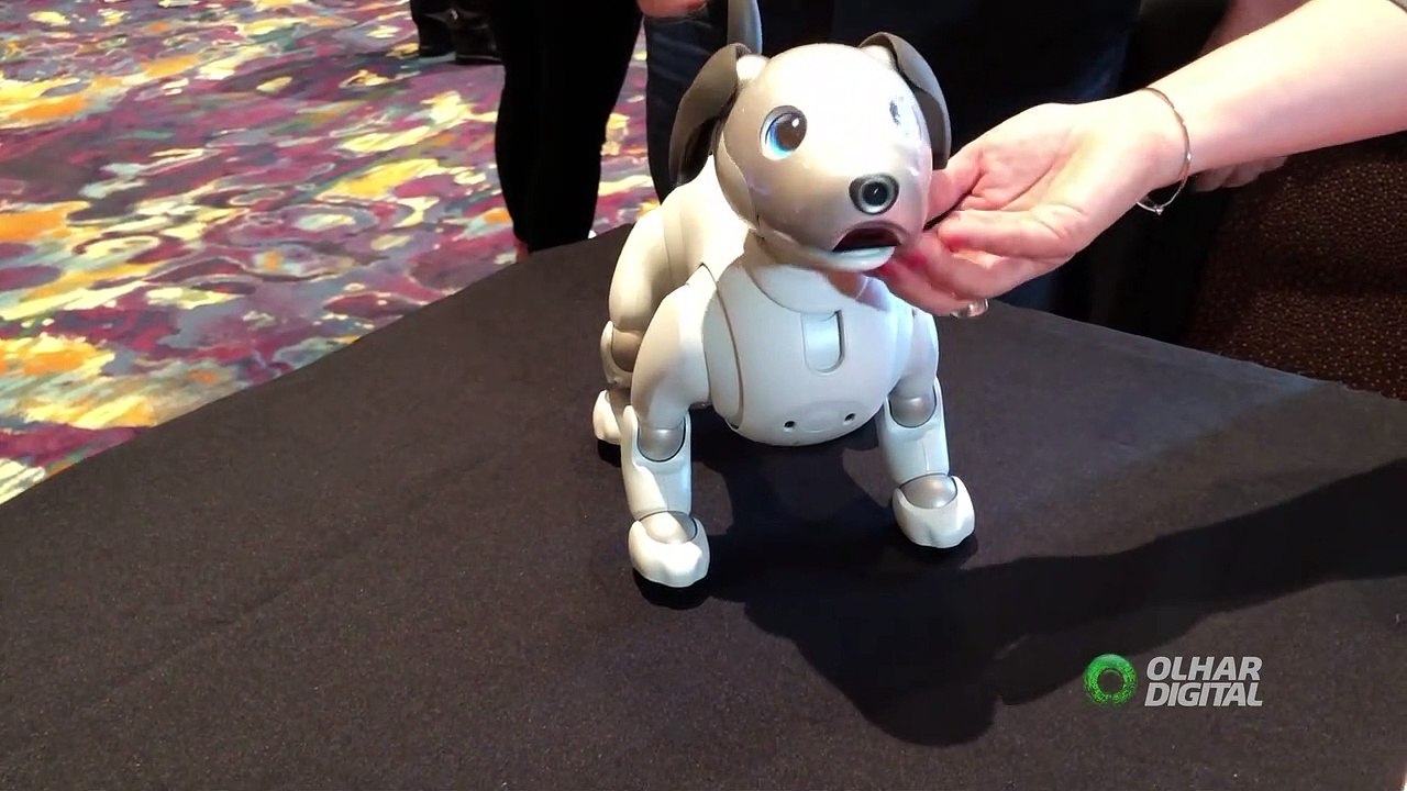 OLHAR DIGITAL - AIBO - SONY