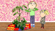 Charlie and Lola  S2E10 I Really Wonder What Plant Im Growing