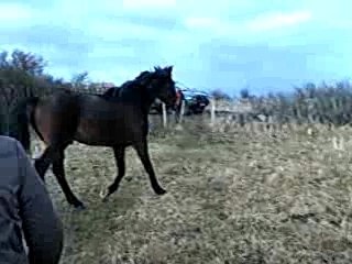 lés ptits font les fous