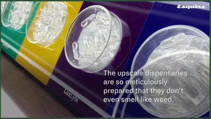 MedMen Is Already Praised as the 'Apple Store of Weed'—But Its Rapid Trajectory Is Getting Sticky