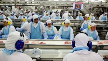 China anuncia tarifas ao frango do Brasil