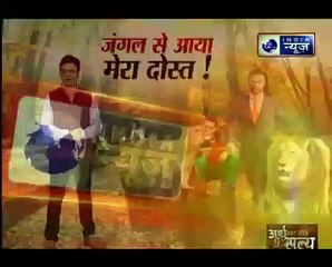 13 Pune College Students Drown At Maharashtra’s Murud Beach