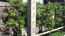 （taoyakaibs）歴史散策龍馬が駆抜けた京都伏見寺田屋界隈Kyoto Fushimi-Teradaya neighborhood where Ryoma went through