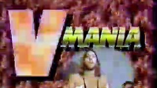 (11-2F14) New Japan WCW World In Japan Volume 5
