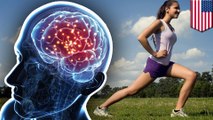 Olahraga dapat bantu cegah Alzheimer - TomoNews