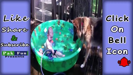 WATCH and TRY TO STOP LAUGHING - Super FUNNY VIDEOS 3