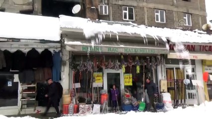 Doğu Anadolu'da kış - MUŞ
