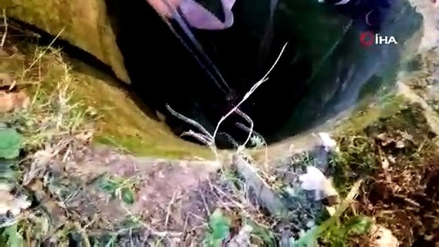 8 metrelik su kuyusuna düşen 400 kiloluk inek böyle kurtarıldı