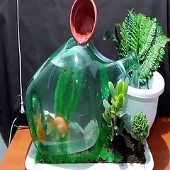 Kırık şişeden nasıl akvaryum yapılır?