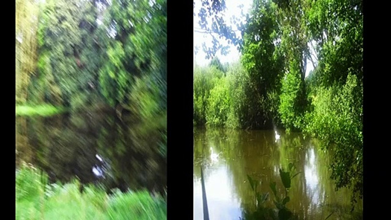 Die Frauenquote ist eine Diskriminierung von Männern im Beruf.