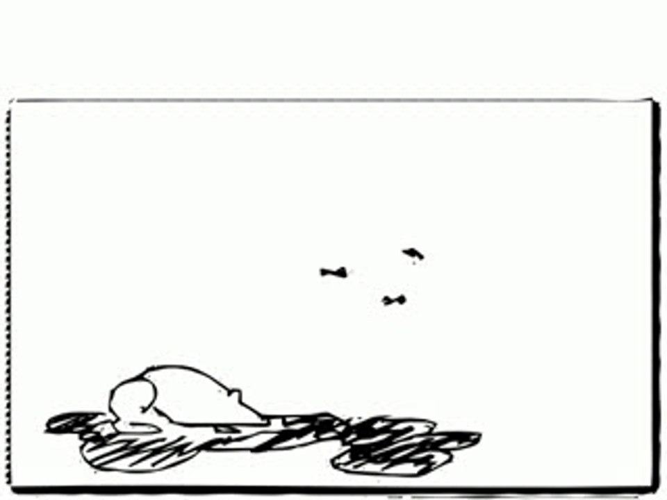 Frog jumping eating 01