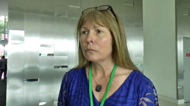 PAS Youth should question its leadership's integrity instead of DAP, says Clare Rewcastle Brown