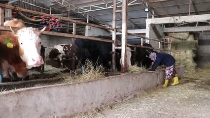 Arkadaşlarına Heves Etti Üretici Oldu - Tekirdağ