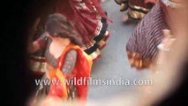 Alia Bhatt dances in Kalank Bollywood movie - sneak preview of Gwalior shoot
