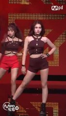 성수출장샵[Ø1Ø↔6648↔8529]『카톡↔sbs88』【예약금NO!】성수출장안마 성수출장마사지 -황제 성수오피 성수출장전문업소 성수출장샵=성수콜걸