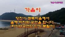 *가을이*품바- 당진 왜목마을, 12월30일부터 새해1월1일 오전까지 라이브공연단 공연합니다.