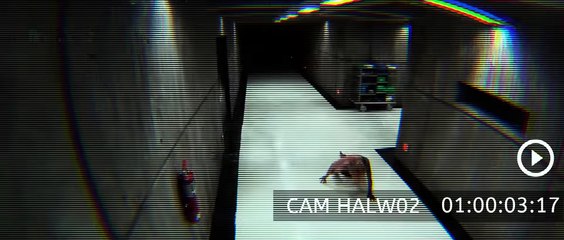 THE POSSESSION OF HANNAH GRACE Film