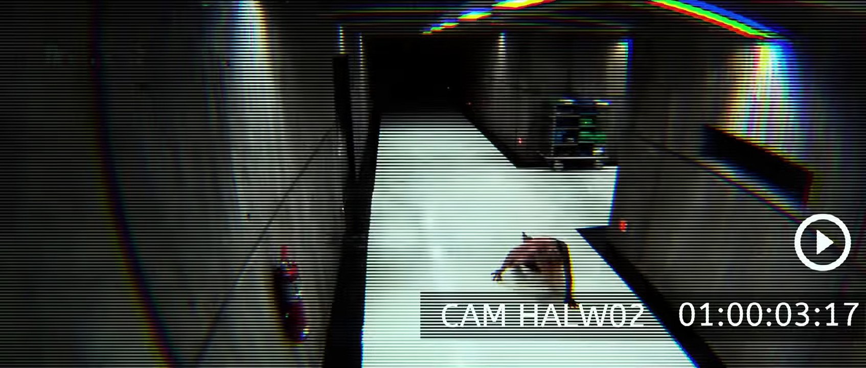 THE POSSESSION OF HANNAH GRACE Film