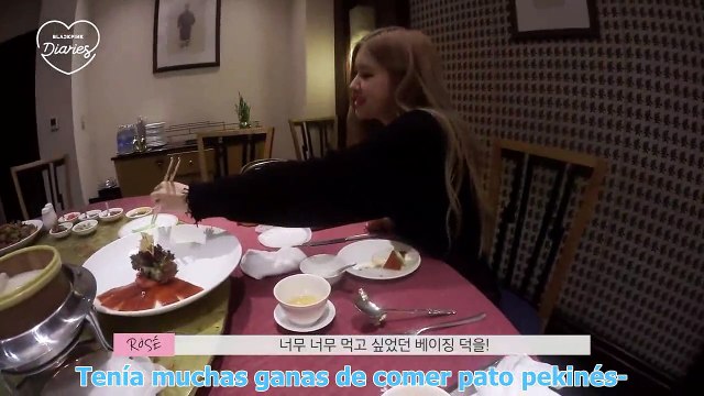 [SUB.ESPAÑOL] BLACKPINK - 'BLACKPINK DIARIES' EP.1