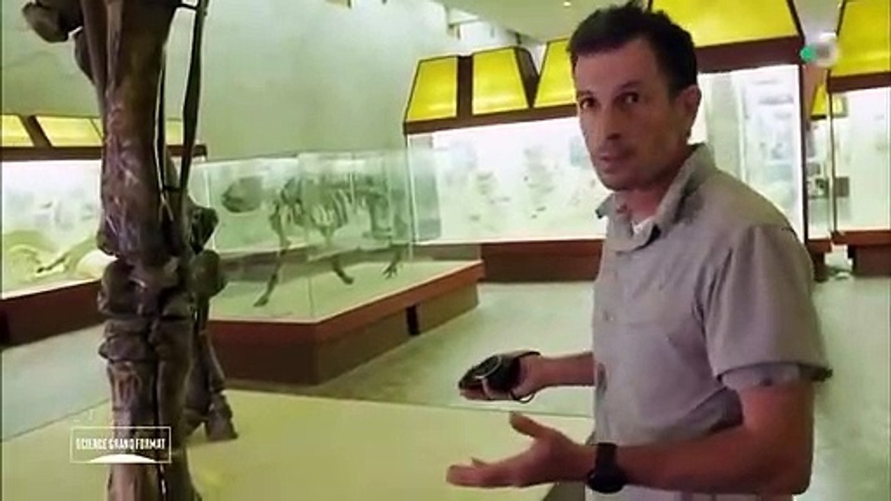 LES ANIMAUX GÉANTS - Documentaire prt 1/2