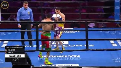 Lindolfo Delgado vs Sergio Lopez 2019-01-13