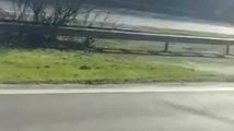 Folle course-poursuite d’Anderlecht jusque sur la E19 : voici la vidéo de l’arrestation du suspect !