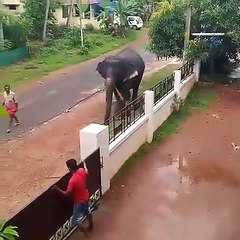 Amazing Indian Culture